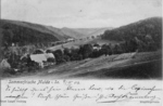 1s21sw1_1906_Sommerfrische, Blick zum Waldpark_v.jpg